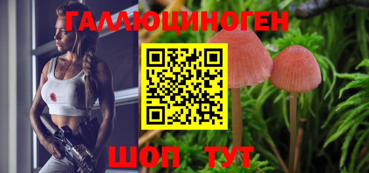 Галлюциногенные грибы Cubensis Нижний Новгород