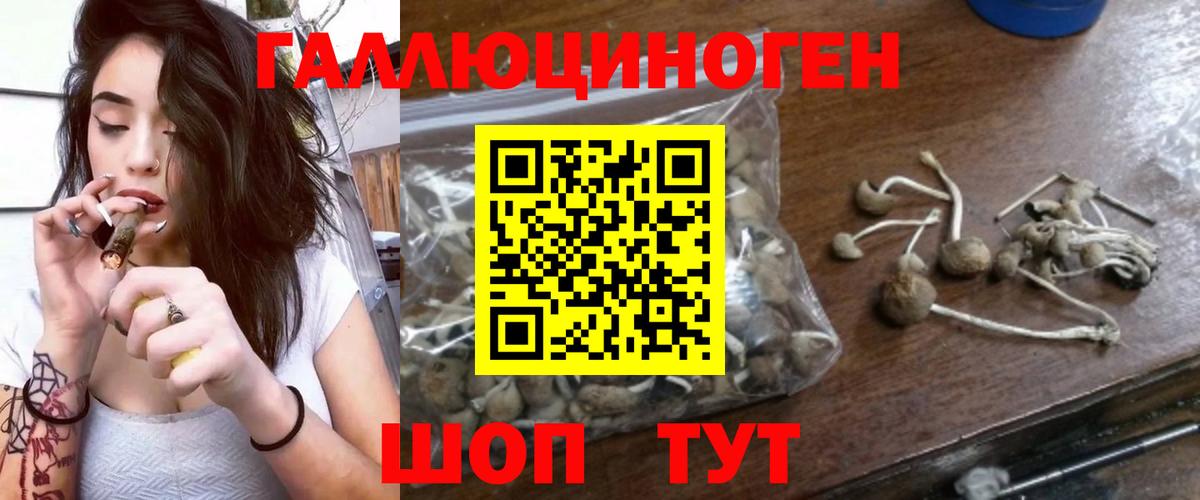 Псилоцибиновые грибы Psilocybine cubensis  Вход с VPN  Нижний Новгород 